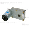 Hammer DX Motor Hammer DX Motor
